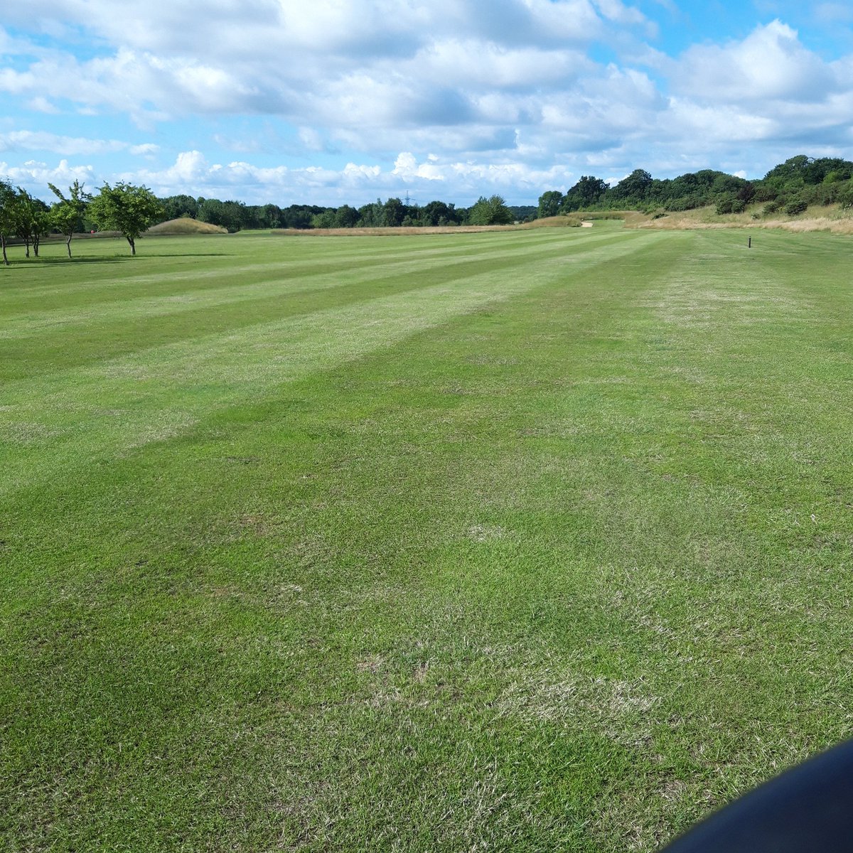 Aaron Sinclaire ⛳ tweet media