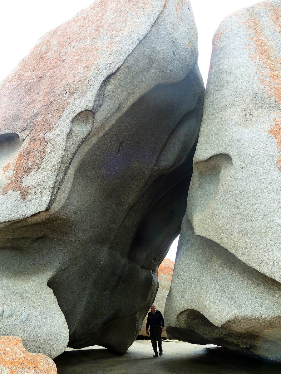 Anna_Dillon's tweet photo. #dailylandscape from Australia is on Kangaroo Island which suffered terribly from the forest fires earlier this year. These are the 'Remarkable Rocks'. Huge, wind beaten, granite rock formations perched on the cliff. Some of the rocks reminded me of a Barbara Hepworth sculpture. https://t.co/jHOhE1JIvt