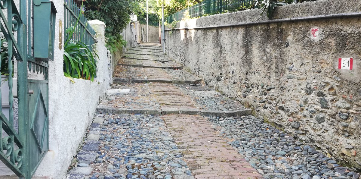 ComunediGenova's tweet photo. 📣✂️🌿Novità sugli #sfalci ordinari della vegetazione spontanea partiti il 17 giugno.
📧Dopo la mail a cui inviare le segnalazioni, da oggi sul sito del Comune c'è un banner con le foto 📸 di alcuni interventi.
👉immagini https://t.co/OeSCQZSDv3
👉info https://t.co/qiRLCYlmyj https://t.co/5O7ybfii8b