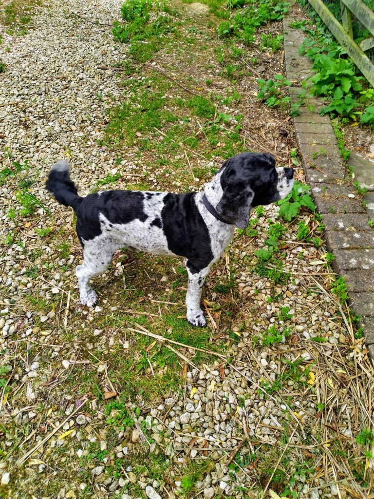 Laura Price tweet media