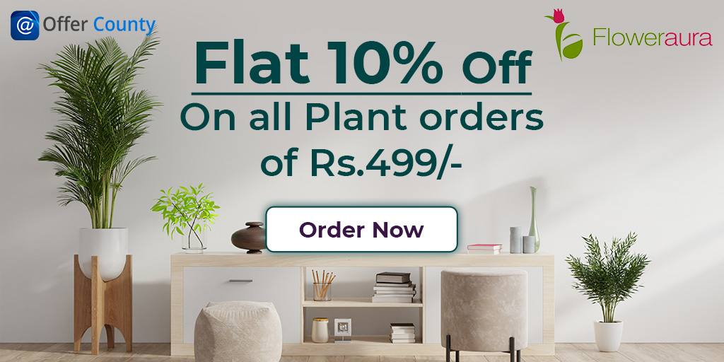 offercounty's tweet image. Get flat 10% off on all plant orders from Floweraura.
Get deals coupon code now: offercounty.com/store/flowerau…

#floweraura #plants #FlowerPower