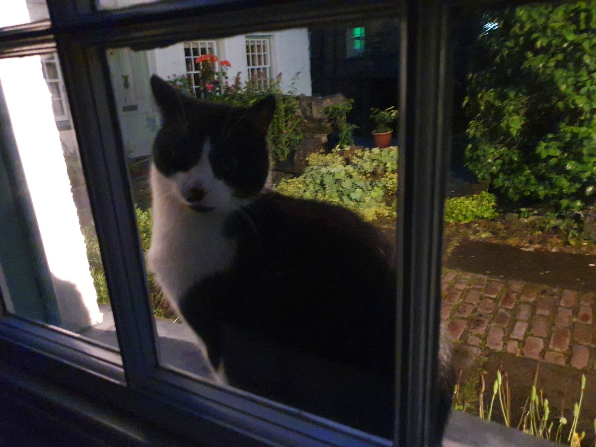 Clearly someone can't wait until Saturday and has decided to start queuing outside, haven't got the heart to let them know we haven't any vacancies until August 😂😟#Ambleside #Cumbria #CatsOfTwitter #LakeDistrict