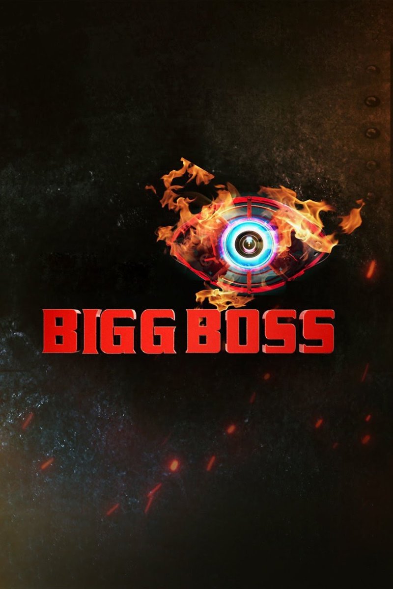 Big Brother and Bigg boss