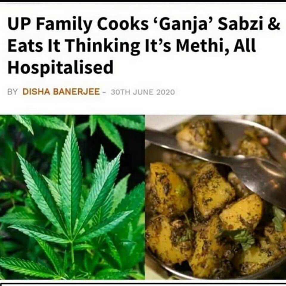 drugskarao's tweet photo. The JOINT Family https://t.co/LU5a1SDAOj