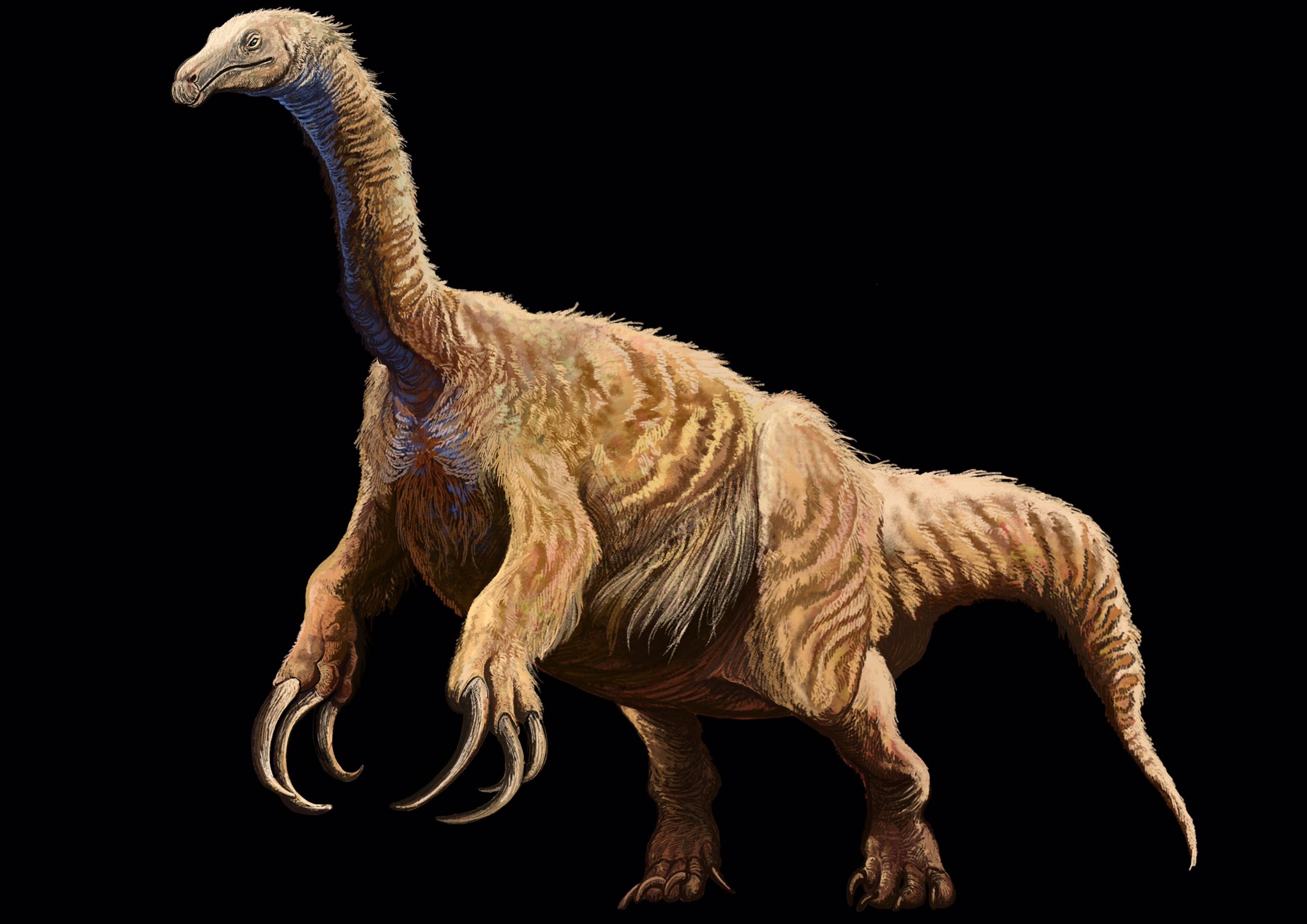 تويتر مشاهدة تغريدة Hetaka على Twitter