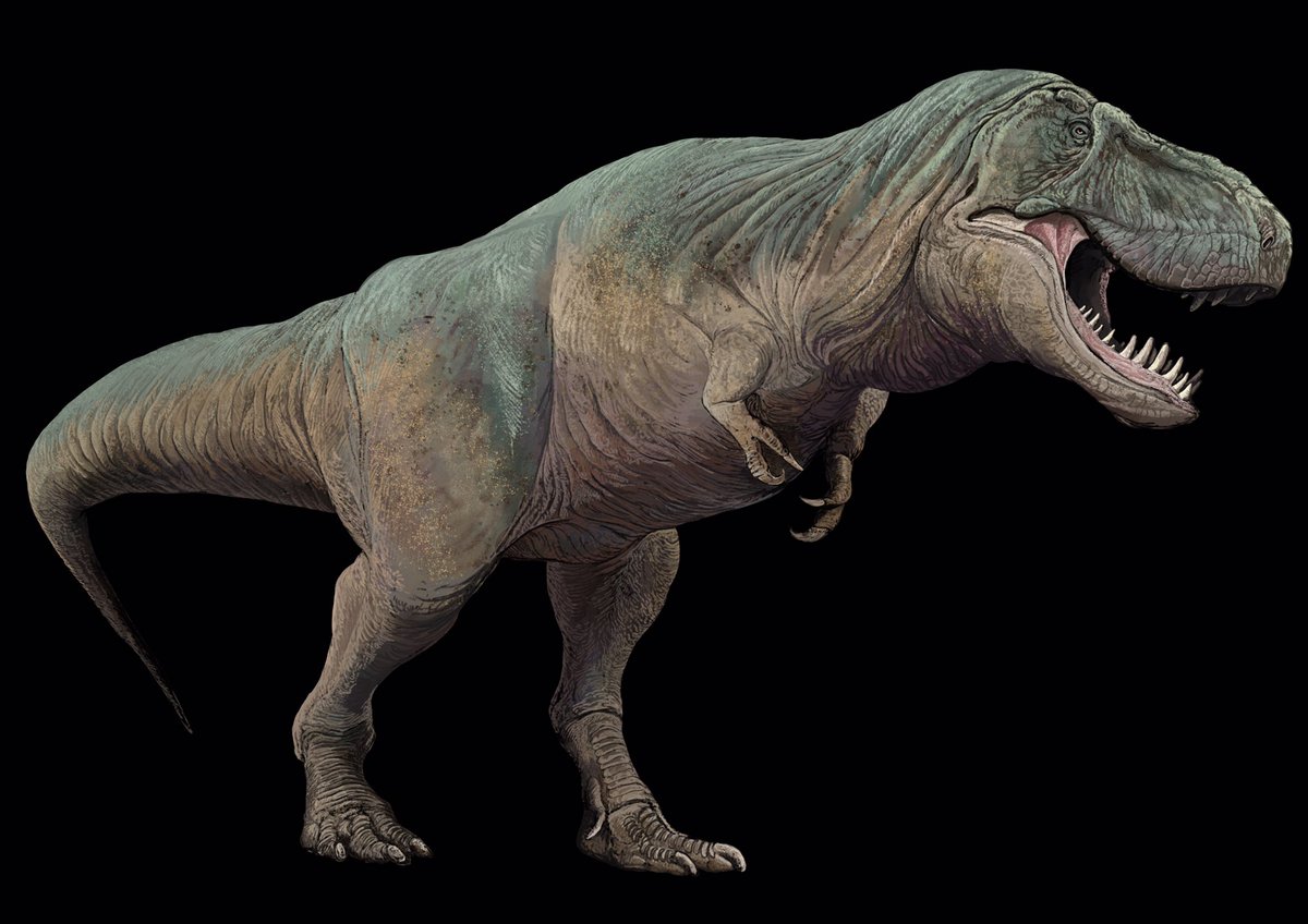 へたか Togo Picture Galleryにて 本日から公開された4点のイラストを制作しました テリジノサウルス アンキロサウルス ティラノサウルス トリケラトプス Togotv Togopic Dbcls T Co Oys2k9xbfc T Co 59tzs1bqqj Twitter