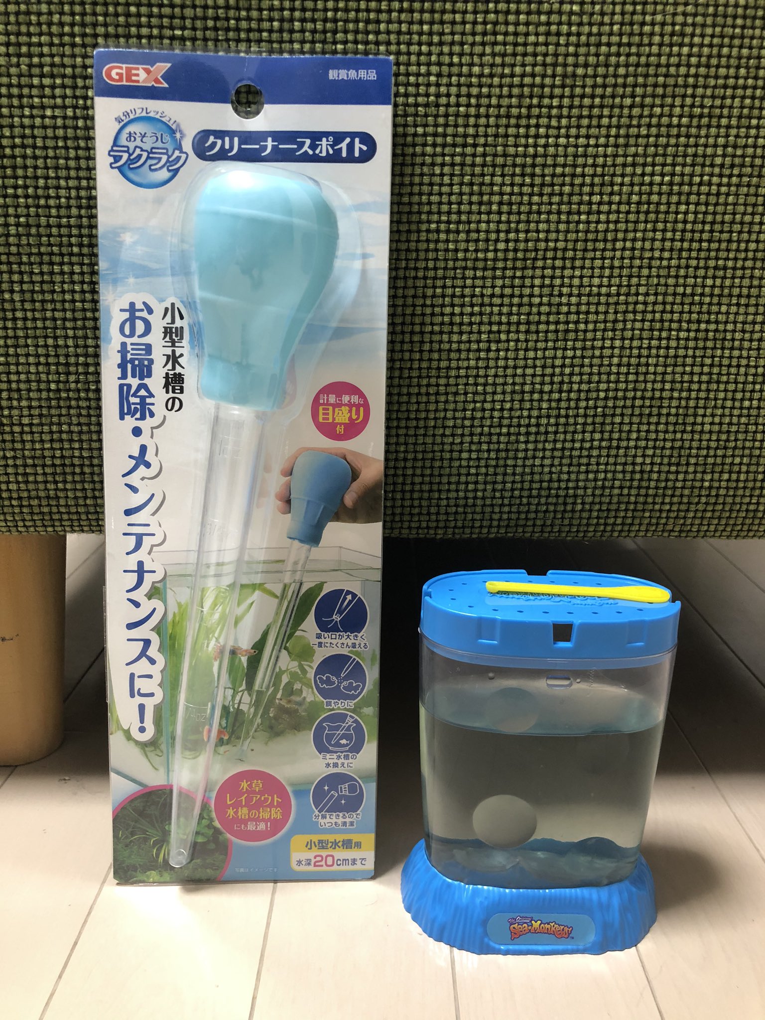 ট ইট র 山本さほ 育ててるシーモンキーの水槽を掃除したくてスポイト買ったら サイズ感間違えたので見てほしい ট ইট র 山本さほ 育ててるシーモンキーの水槽を掃除したくてスポイト買ったら サイズ感間違えたので見てほしい
