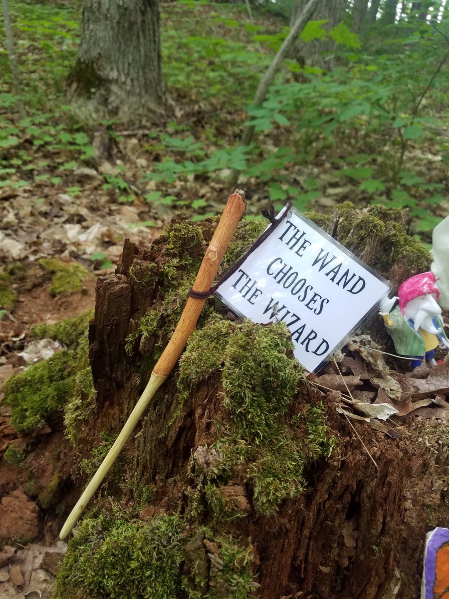 ottawands's tweet photo. Another wand has been entrusted to the fairies of Trillium Woods. Might this this wand be yours? #ottaWands https://t.co/4VTFhB4oWP