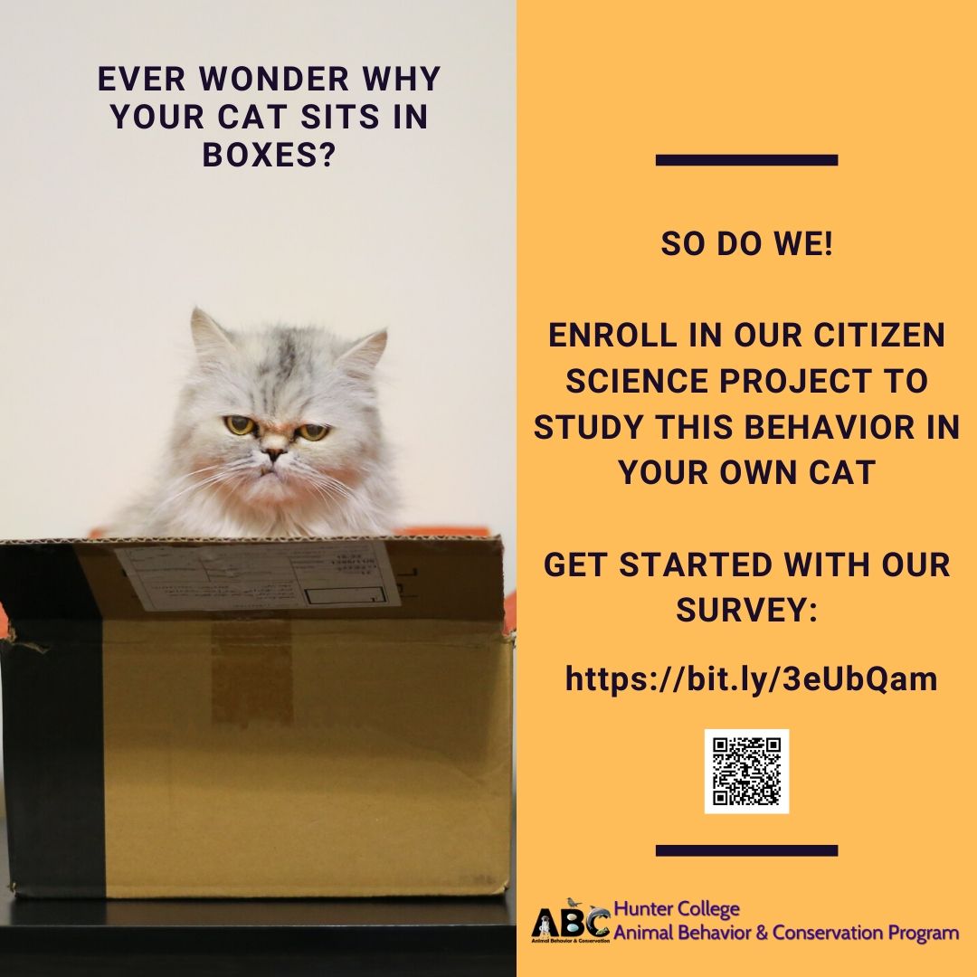 Explanimals's tweet photo. Hello cat friends! @sebyosiere and I are excited to announce our citizen science project through @ABCClubHunter1's @HunterTDC studying cats' tendency to sit in boxes. Join our study today! 

Visit our website or conduct the preliminary survey:
https://t.co/CbfOt4bAKV https://t.co/Srhc2cgfgb