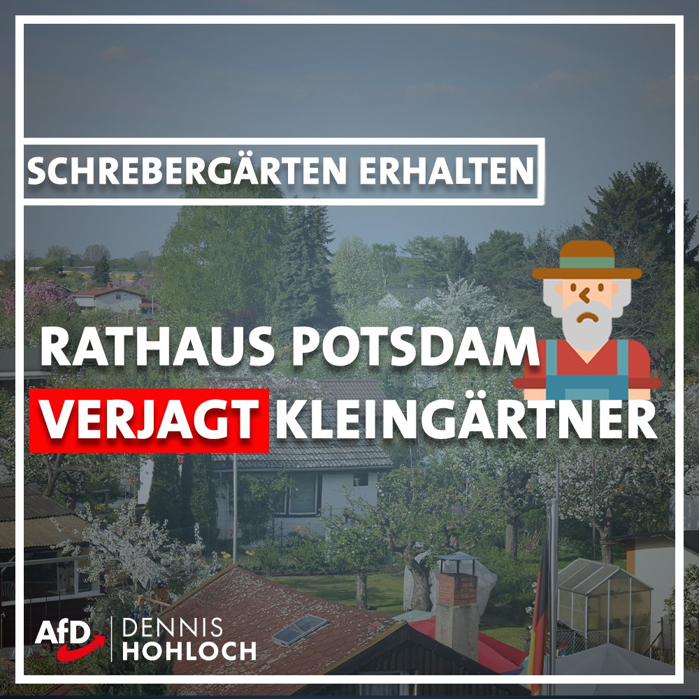 Dennis Hohloch Mike Schubert S Baupolitik Zeugt Von Ignoranz Und Konzeptlosigkeit Viele Potsdamer Konnen Sich In Der Immer Teurer Werdenden Stadt Keine Immobilie Mit Garten Leisten Und Weichen Deshalb Gern Auf Kleingartenzellen