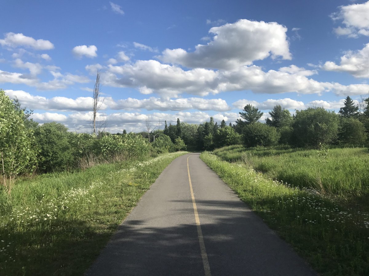LearnLeapFly's tweet photo. Simplifying. Connecting. Discovering our privilege. As we look back over the past 4 months of COVID-19, we find there's been a silver lining to this turbulent time, albeit one that brings our own privilege into stark relief. Read our story at https://t.co/9T8hRY4t25 https://t.co/z4RJljZYiO