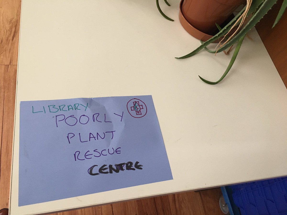 A lot of humour. The team in charge of book returns and quarantine have also taken in all abandoned office plants for much needed surgery. 8/10