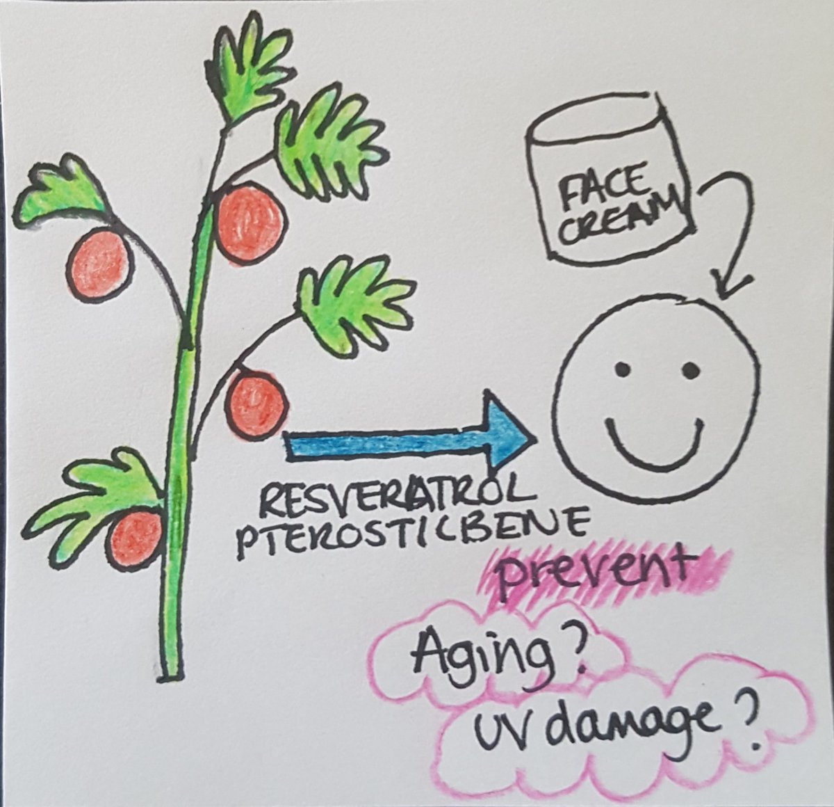 ScientistErica's tweet photo. Here's mine!
Can you guess it?!
I expressed resveratrol and pterostilbene on tomato plants, and used the juice to look at the medicinal properties of these compounds on human skin.
#PostItNotePhD
Maybe I will try one for my postdoc next...! https://t.co/3iIyCpW4LG