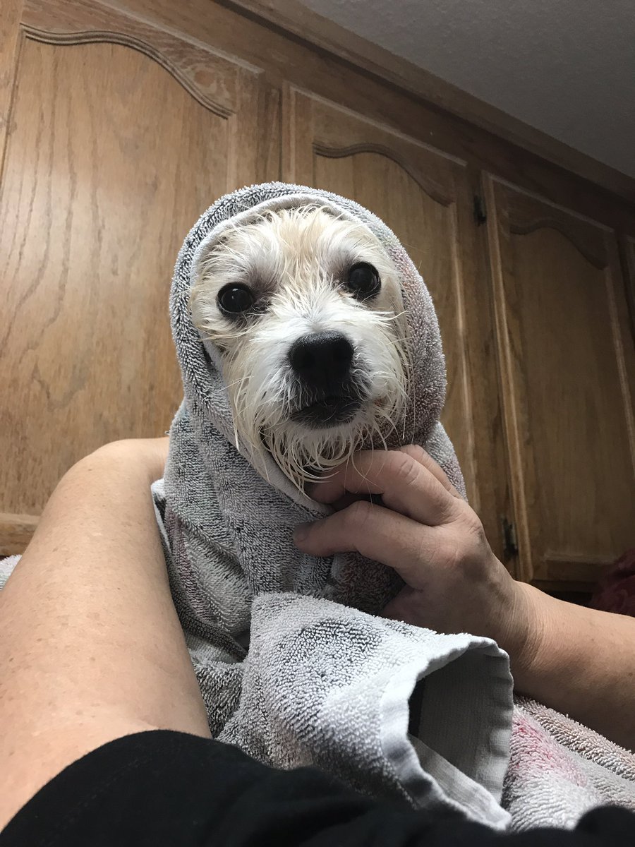 Here u go this is a lil Russian lady