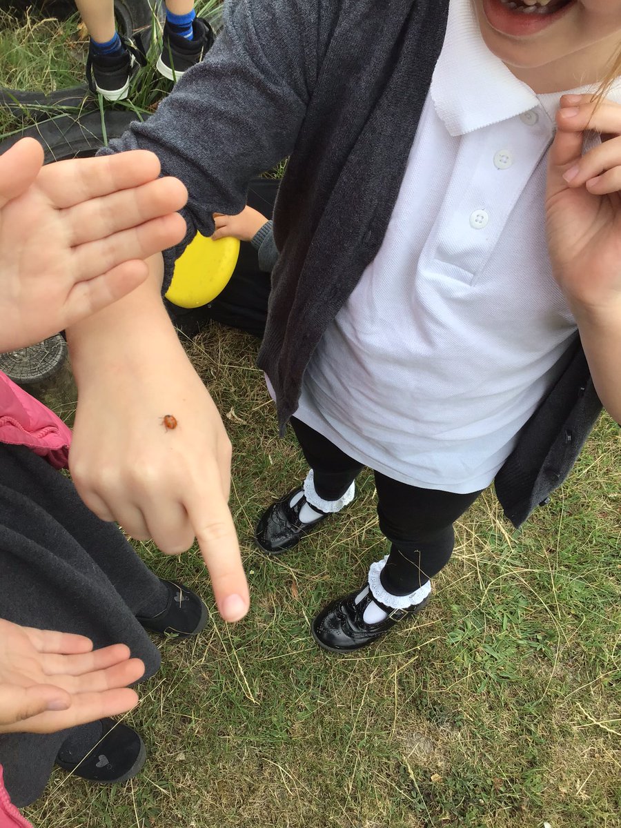 1Galfrid's tweet photo. Another mini beast sighting #minibeasts #sighting #science https://t.co/R8MtpL2sM7