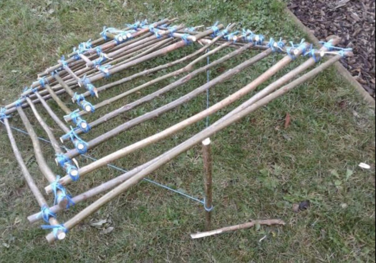 OPrepared's tweet photo. Practicing current skills and learning new ones is a smart use of time right now. #OzarksPrepared #Prepper #Shtf #Prepper #Bushcraft #Survival #FoodStorage #BugOutBag #GetHomeBag #Nature #Adventure #DIY #prepperfoodstorage #birdtrap #snare https://t.co/jK1gFsIfSW