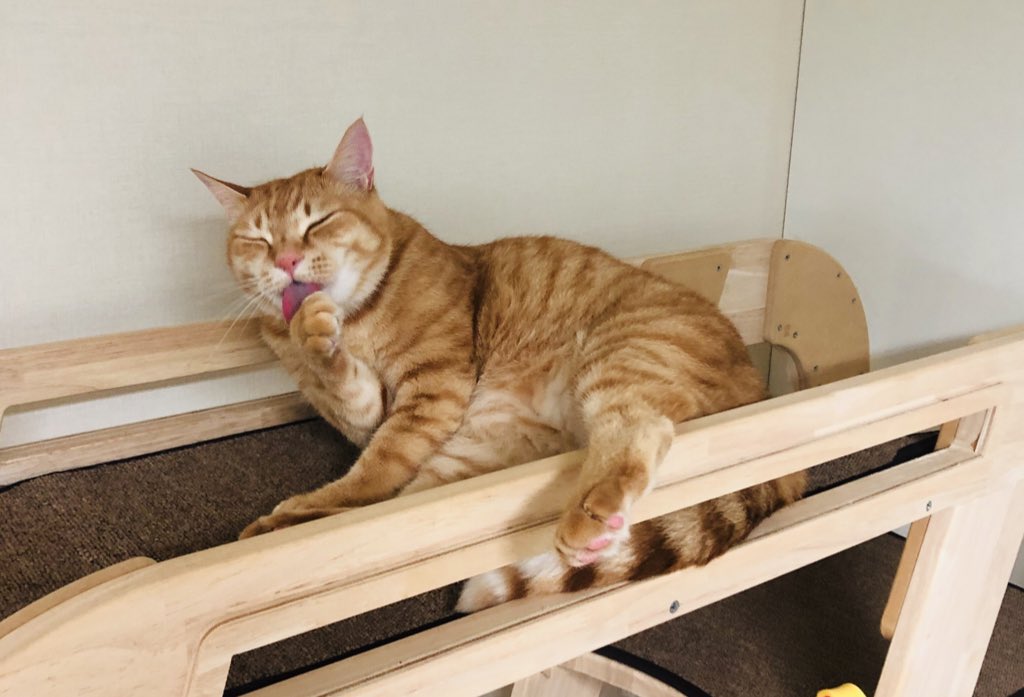 못생겼는데 귀엽다