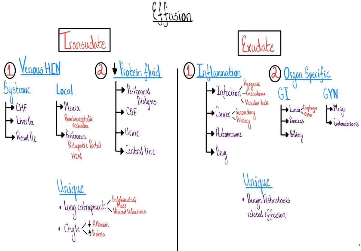 Light's criteria and the SAAG... We approach pleural effusions and