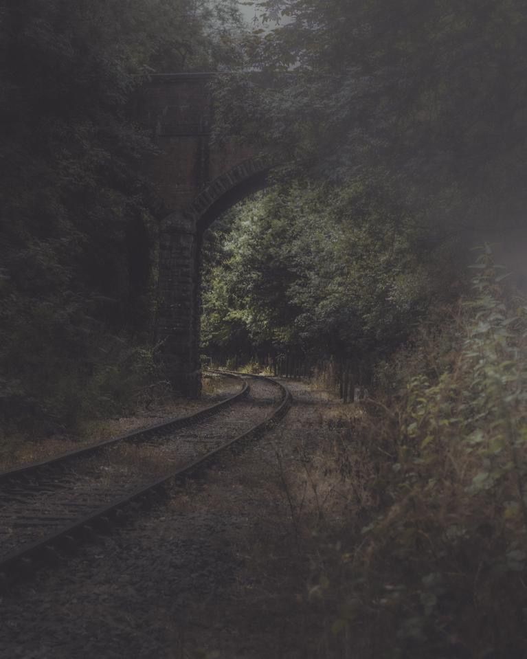 ImagesWithStories tweet media