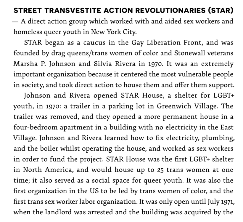 Red Schulte talking about STAR House in the East Village. I remember reading about this recently in an article about Rivera. (Screenshots taken from Morgan Lev Edward Holleb's The A-Z of Gender and Sexuality: From Ace to Ze).