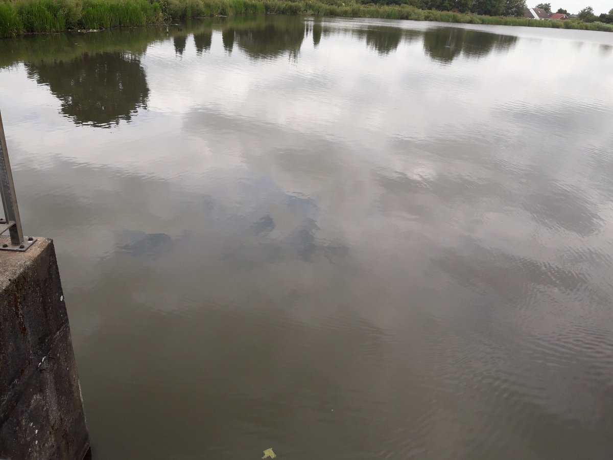 Out earlier this week to review progress on important work improving valve operational efficiency at Trench Pool in Telford