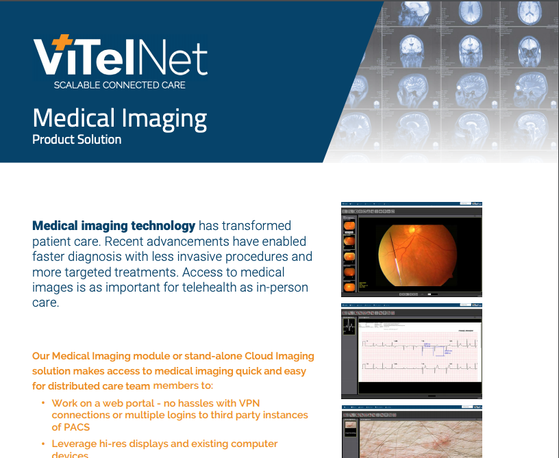 ViTel Net  tweet media