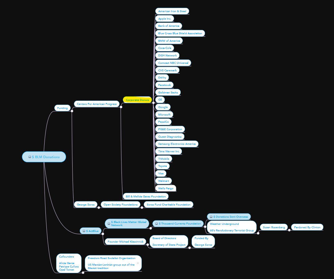 BLM-->Funded by Centers for American Progress-->Corporate Donors-->American Iron & SteelApple Inc.Bank of AmericaBlue Cross Blue Shield AssociationBMW of AmericaCoca-ColaDISH NetworkComcast NBC UniversalCVS CaremarkDeVryFacebookGoldman SachsGEGoogleMicrosoft