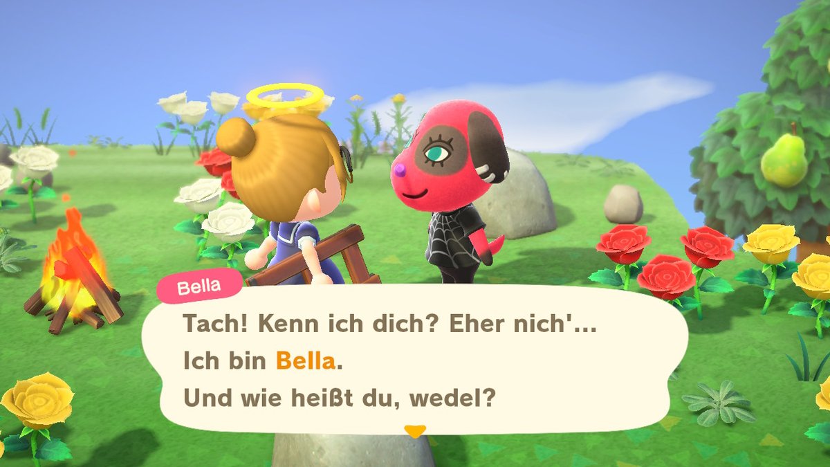 Sharkwich's tweet photo. #AnimalCrossing #ACNH #NintendoSwitch https://t.co/7xksONVdBZ