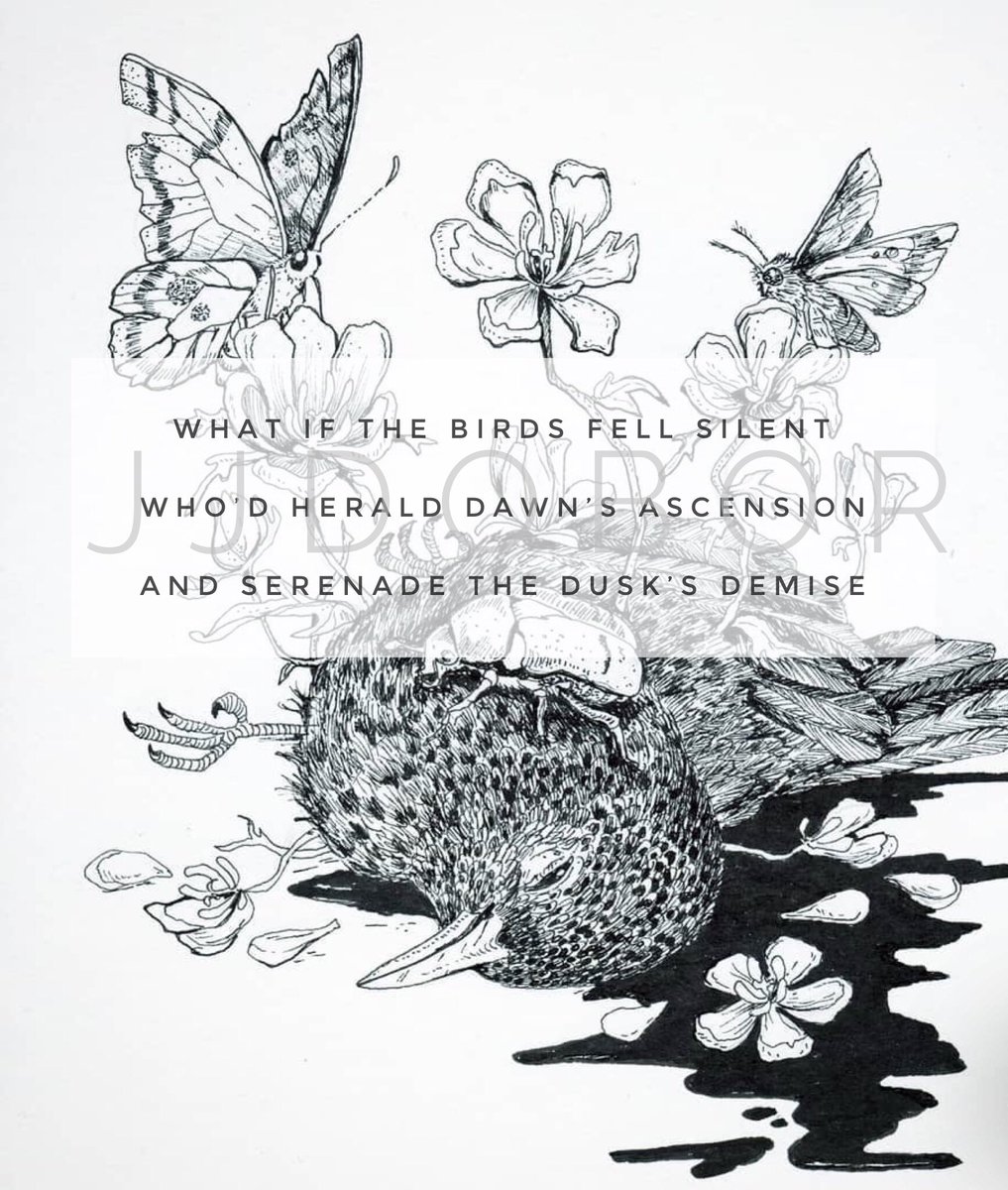 JJDoborWrites's tweet photo. What if the birds fell silent
Who’d herald dawn’s ascension
And serenade the dusk’s demise
JJDobor
#writeoutside
Image credit: Nadja Mikkila https://t.co/DdCKSo8oSJ