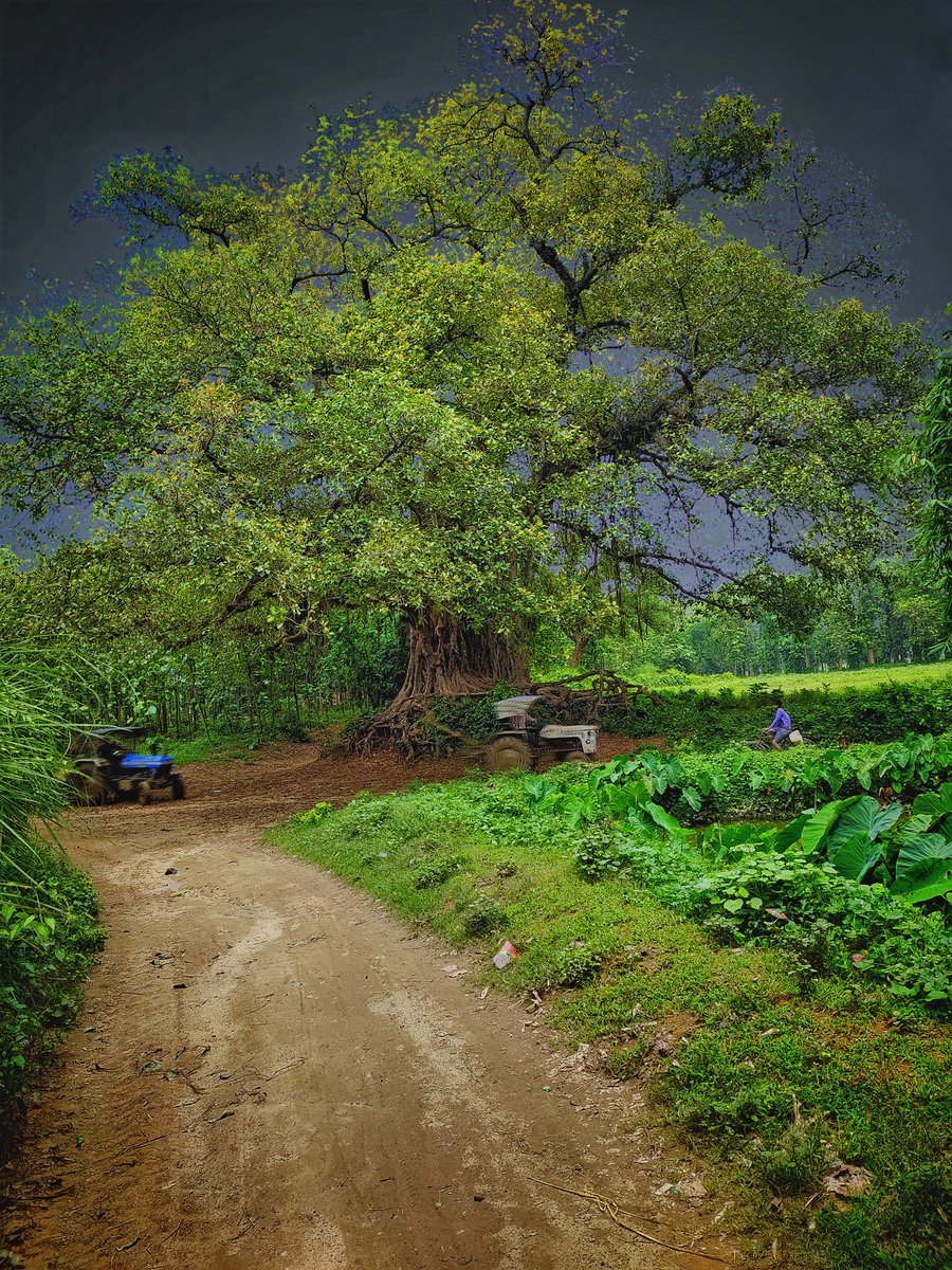 Chandra92725203's tweet image. गावं की खूबसूरती.....
@Hindinama2 @Chandra92725203
#forenvironment #naturelovers  #NaturePhotography