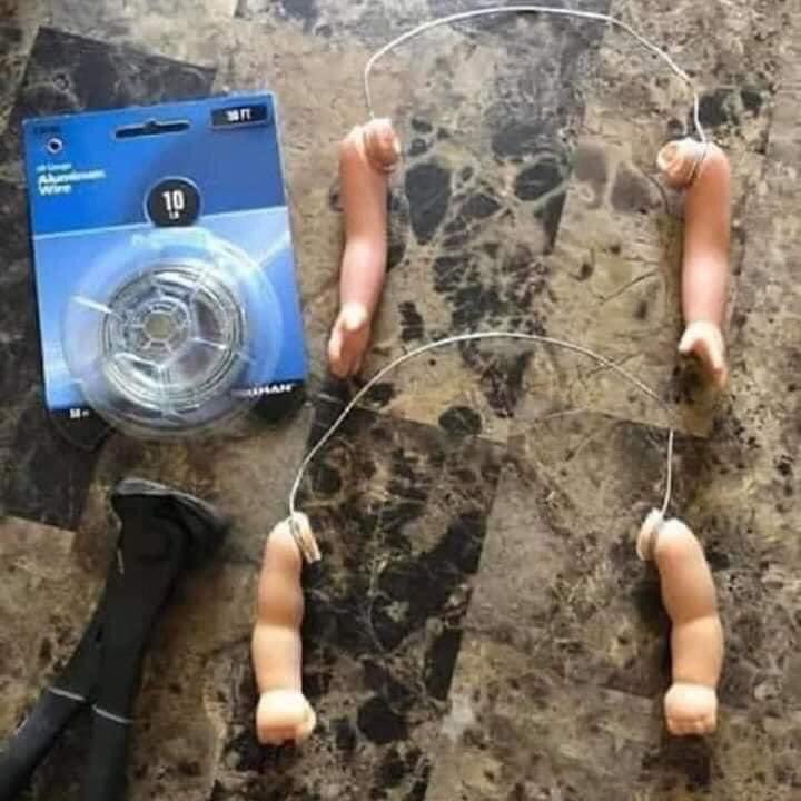 MikeAvilaC's tweet photo. Se venden brazos para gallo o gallina, son unisex. https://t.co/cIhc4QCQwp