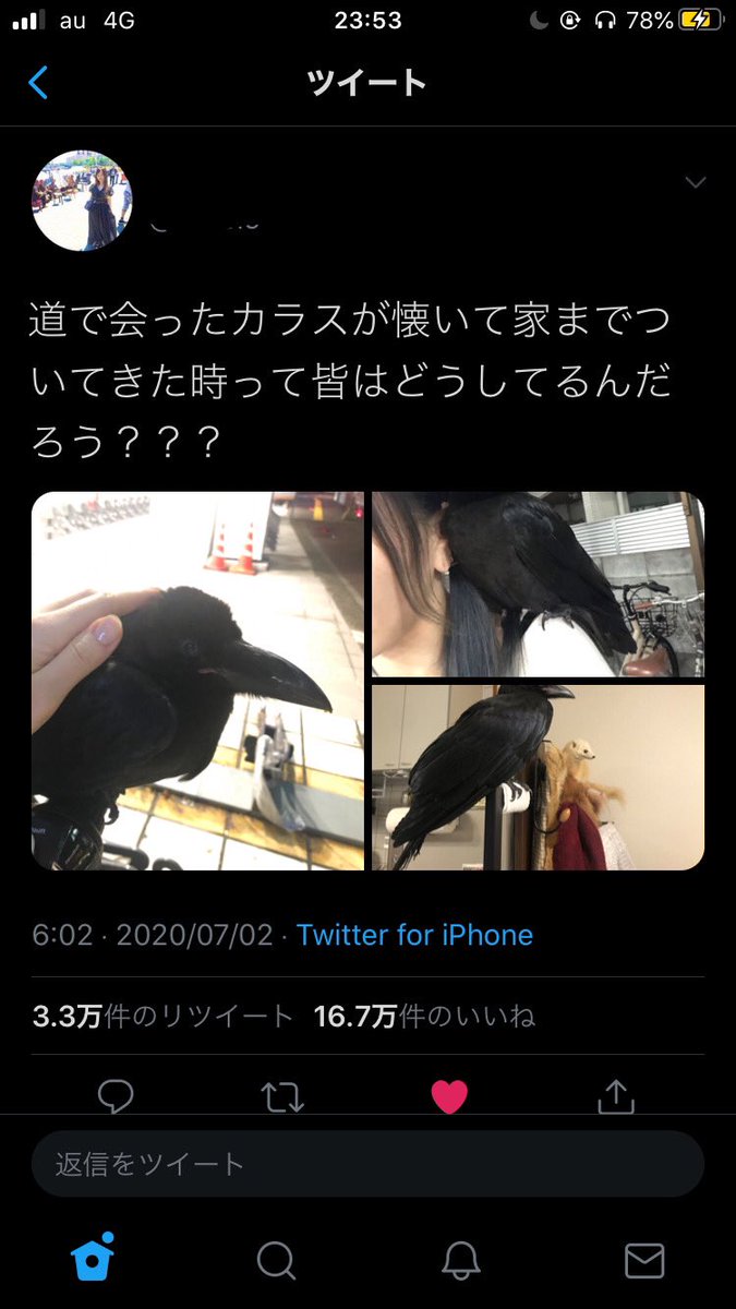 大洋 tweet media