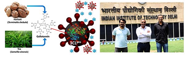iitdelhi's tweet photo. Tea (Camellia sinensis) and Haritaki (Terminalia chebula) may act as potential therapeutic options against SARS-CoV-2 targeting 3CLpro protease: IIT Delhi study

More details- https://t.co/fE7eYyA70z https://t.co/fq2ttZ6mwv
