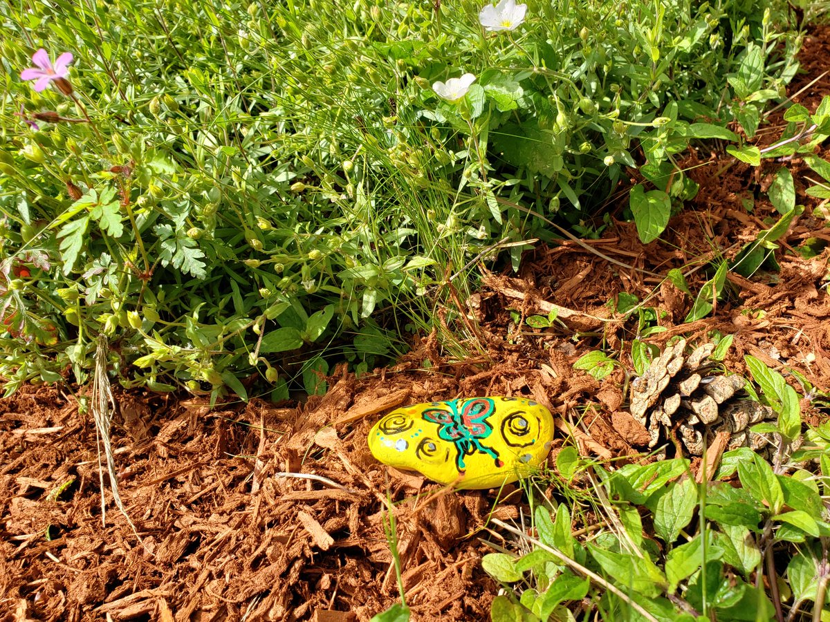 JcMercerJr's tweet image. 