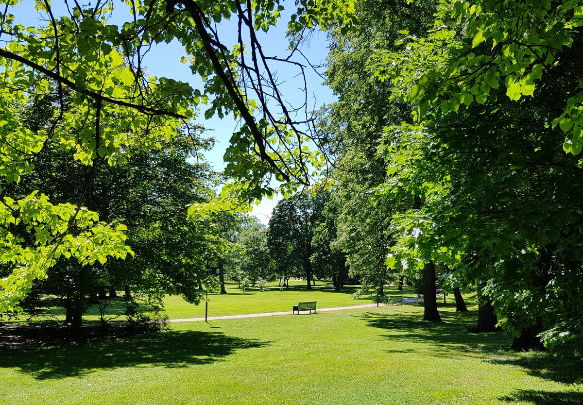 TerhiBunders's tweet photo. "Out of office" doesn't anymore mean a holiday. Here is a perfect bench - for working. #Newnormal #distantwork #etätyö https://t.co/weEohr88Ek