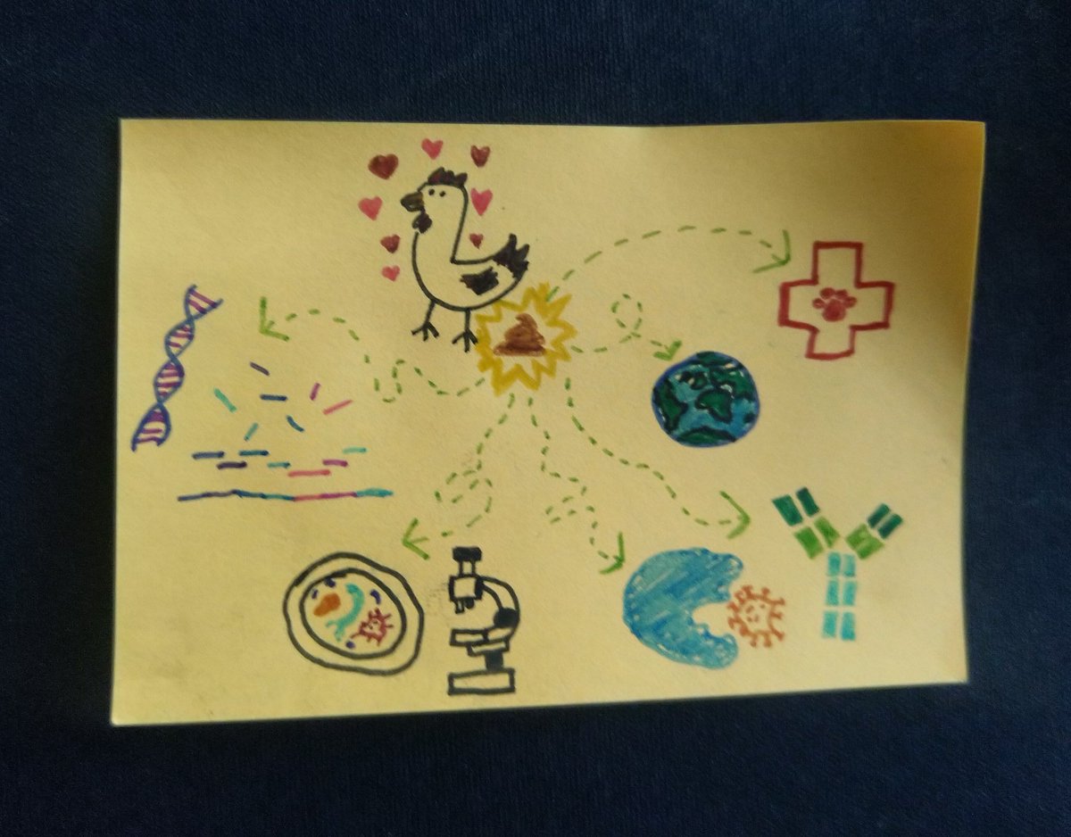 BushyBio's tweet photo. Thank you to @samfrowe and @ScientistErica today for our public engagement masterclass!
Great advice for increasing online visibility and I'll certainly be looking for more challenges in the future!
#PostItNotePhD #phdchat
@NRPBIODTP https://t.co/qKXizc3ls2