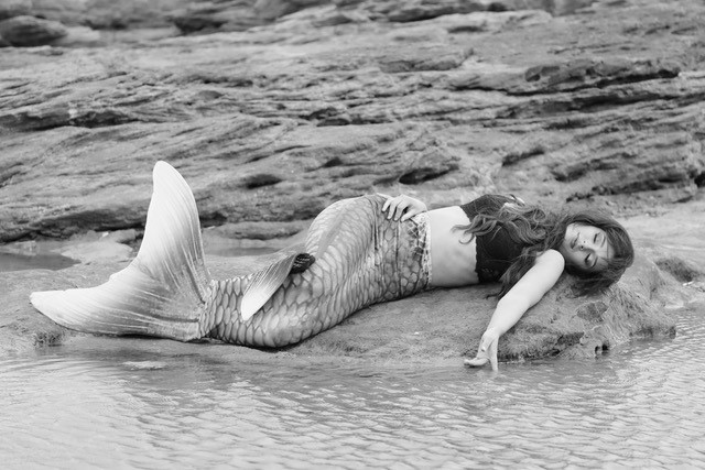 James James Kitchens tweet media