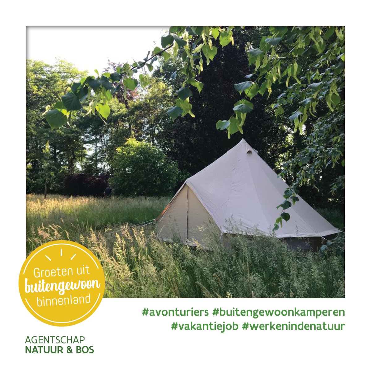 Jobstudenten gezocht om het kampeergebied Mettekoven in Heers mee in goede banen te leiden (augustus): alle info vind je op bit.ly/2YTrXzm. 
 
#werkenindenatuur #vacature #vakantiejob #studentenjob #natuurinvest #onzenatuur #summerfun