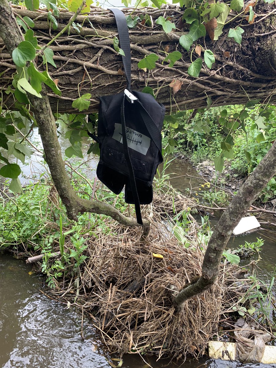 On the down side, someone has stolen one of my Pettersson D500x bat ultrasound monitors from the same place