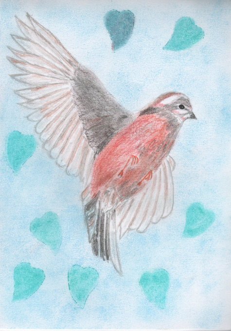 鳥イラストのtwitterイラスト検索結果 鳥イラストのtwitterイラスト検索結果