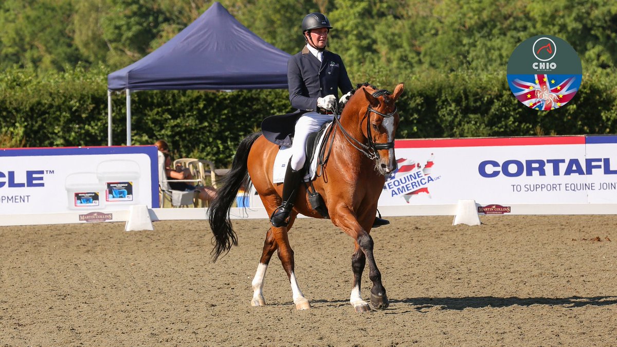 chiorotterdam's tweet photo. Sune Hansen is the Danish π©π° rider at @equineamerica Rotterdam Hickstead GPC. In Rotterdam we remember Sune from #EC2011 with the impressive stallion Glock's Romanov; in Hickstead he was in the winning team with Charmeur. On July 18 & 19 he shows his new GP star π« Carso'ni.β£ https://t.co/zNFiNjJpyB