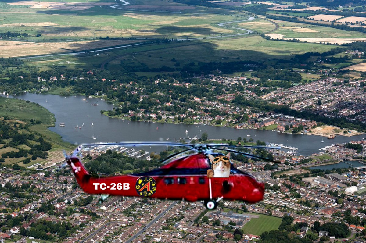 MurphyTCat's tweet photo. Da weather heres is a bit changeable, so whilst it OK ai fort I'd take da Wessex out for a cruise, ai eben stopped by da shops an picked up sum single cream for dade MOL 😹 #Helichopter #Wessex #CatsOfTwitter #TheAviators https://t.co/3uRmnGiS1E