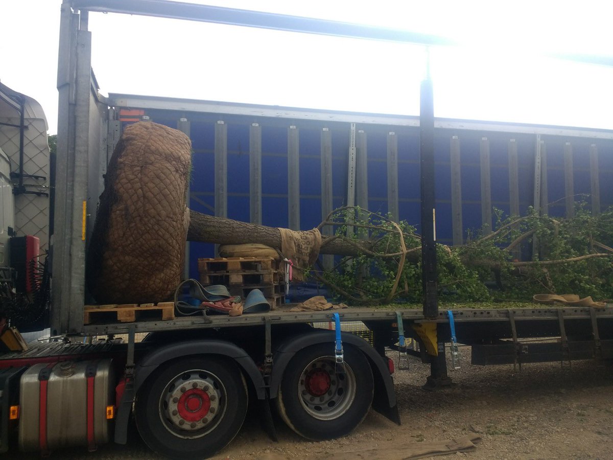 MarcMgee's tweet photo. The team have had a busy time #working from #buckinghamshire to #cotswolds planting some cracking trees. Next stop #Cheshire, Glendale James Shipman BSc FBNA Angus Fraser https://t.co/9dEZfxbrfW