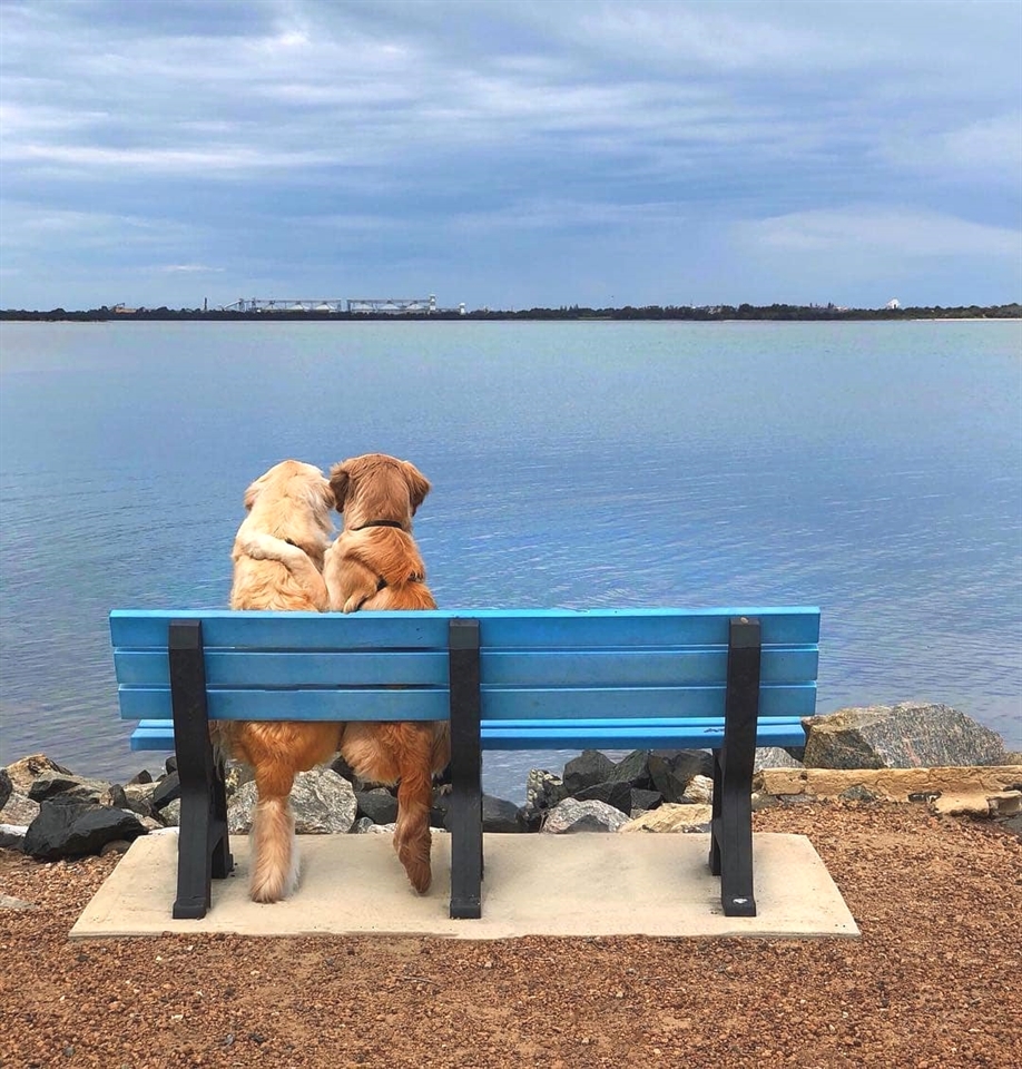 RobinLyfe's tweet image. Such a remarkable bond they share with each other❤🤗