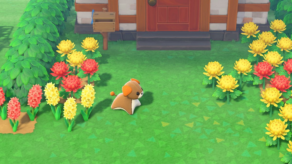 babao_pt's tweet photo. #AnimalCrossing #ACNH #NintendoSwitch https://t.co/2SVIDWAXpO