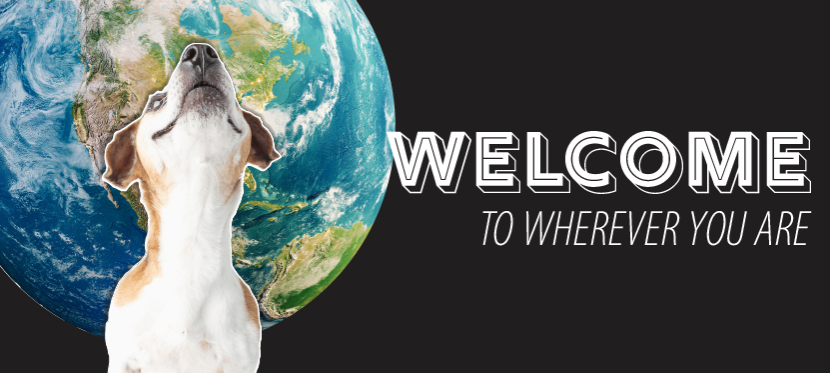 Skye Perry tweet media