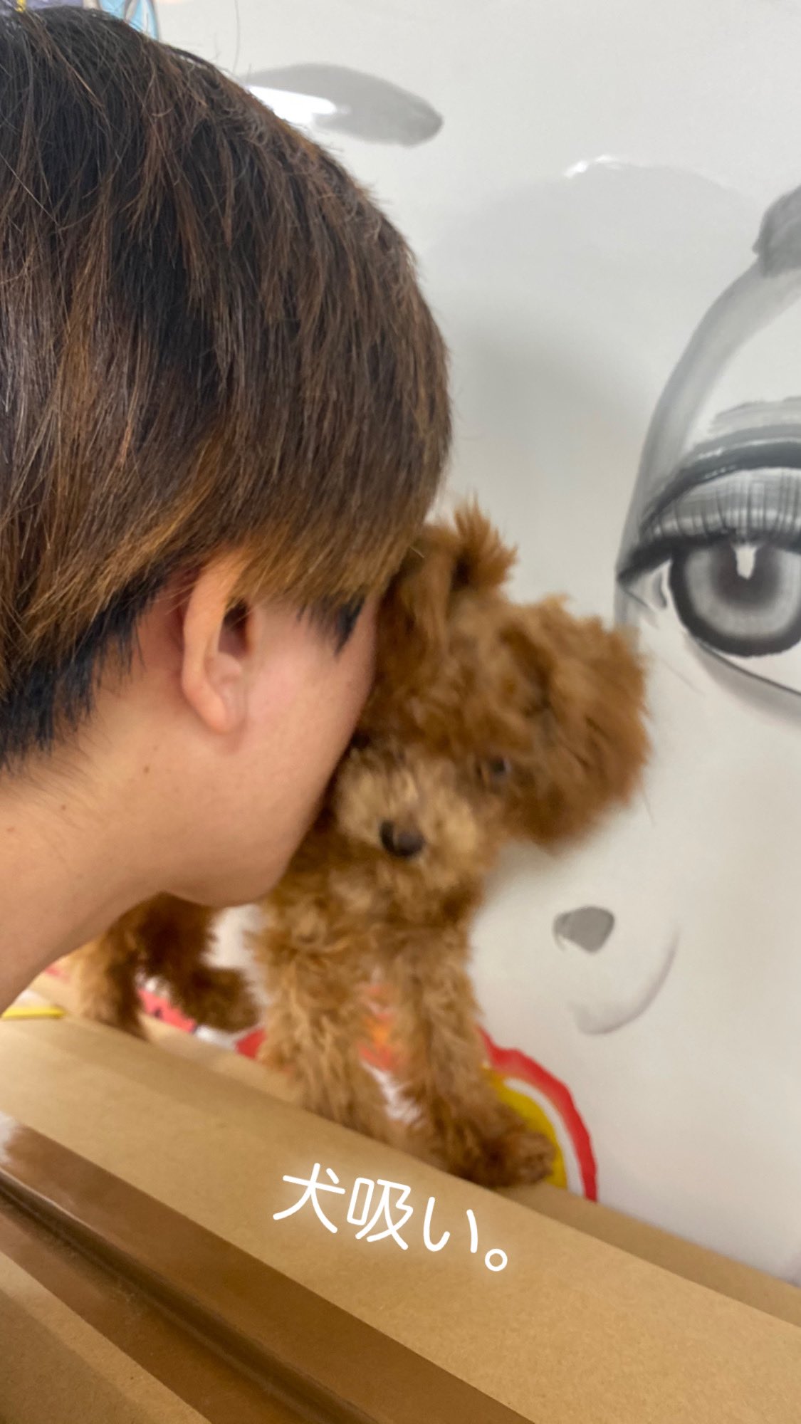 長坂 真護 Nagasaka Mago たとえ犬アレルギーでも辞めれません 禁断症状 犬アレルギー 犬バカ 犬吸い T Co Iitz5ccalv Twitter