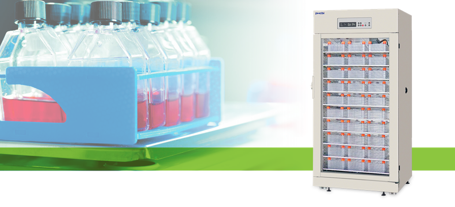 Generis_BIO's tweet photo. #Cells require uniform, stable, warm, humid, and stress-free environment for healthy growth.
Find out how @PHCbiomed's large capacity #cellproduction #incubator maintain accurate temperature, humidity and pH throughout the chamber: https://t.co/u4NRskZSSX
--
#biomanufacturing https://t.co/6vw1eNvuF1