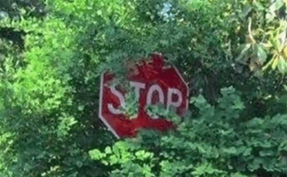 When yo homie about to do some dumb shit but you kinda wanna see what happens next