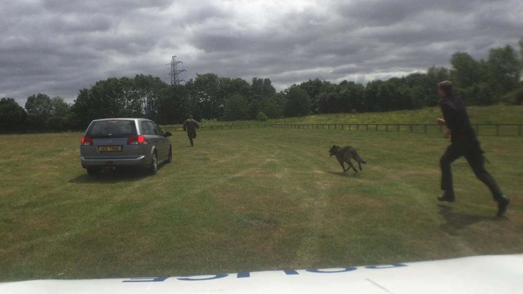 BCHPoliceDogs's tweet image. Thor &amp;amp; handler in action during their environmental week... #thenoseknows #trainforreality The pair join their new team on Monday, serving the public of @HertsPolice @CambsCops @bedspolice
Very well done for a successful course. #thenextgeneration